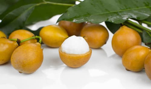ACHACHA Mang Cut Vang fruit tree