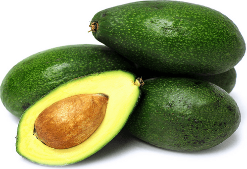 Bacon Avocado fruit tree