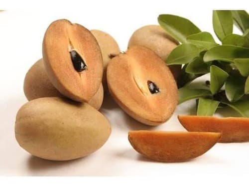 Butterscotch sapodilla