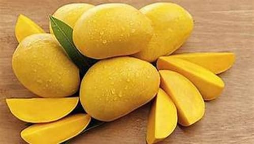 CAC MANGO