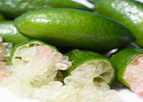 GREEN FINGER LIME GIANT Cay chanh ngon tay xanh